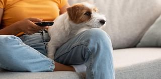 Get Off the Couch: Another Study Shows Sitting's Health Dangers