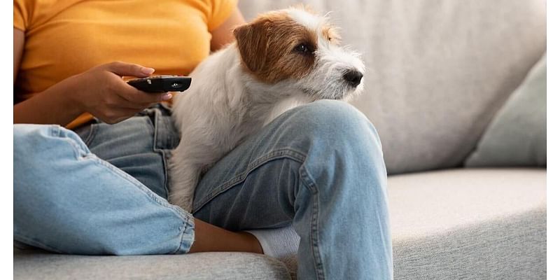 Get Off the Couch: Another Study Shows Sitting's Health Dangers