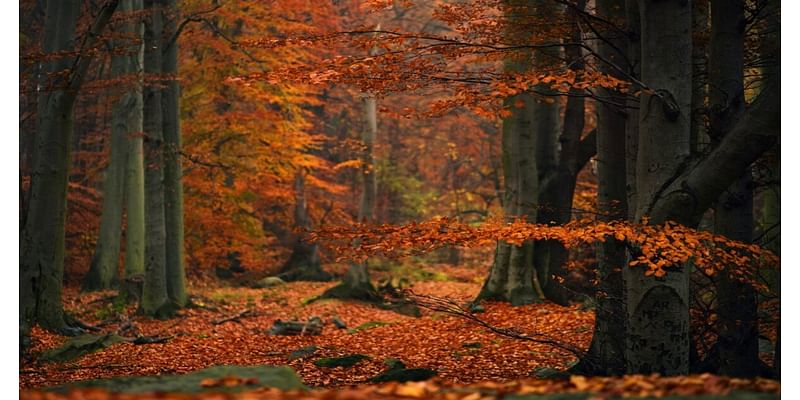 Drying out just in time for a very Fall-like weekend