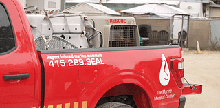 The Marine Mammal Center is looking for a new home in Morro Bay