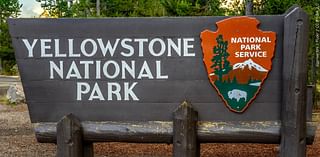 Colorado Springs man banned from Yellowstone National Park