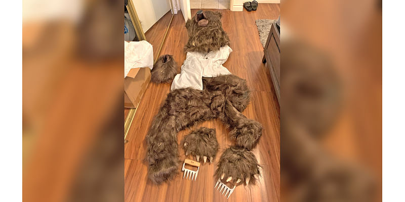 Suspects allegedly wore bear suit to damage cars, defraud insurance agencies, officials say