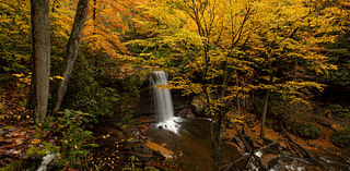 Fall foliage hits its peak in Southwestern Pennsylvania this week. Maps show where the best views are.