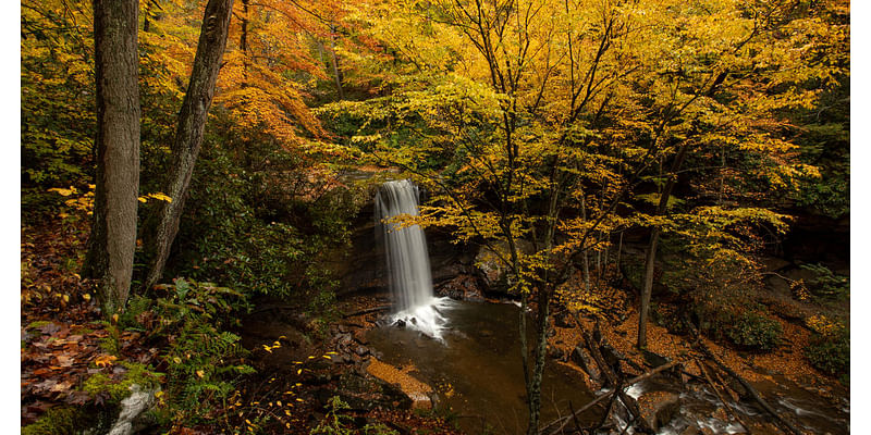 Fall foliage hits its peak in Southwestern Pennsylvania this week. Maps show where the best views are.