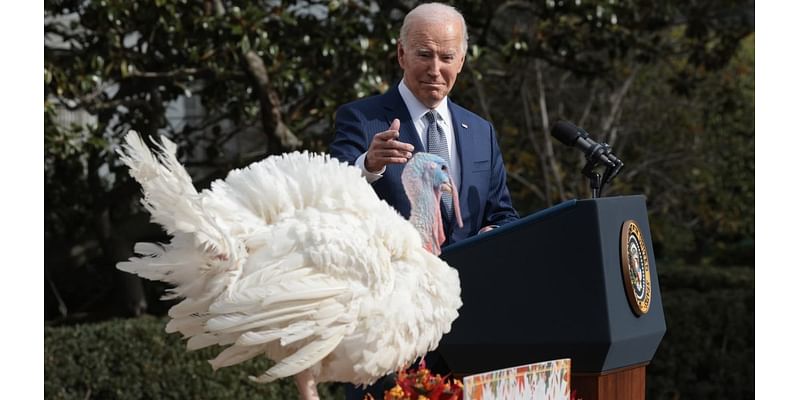 Biden wants credit for lower Thanksgiving food and travel prices, as inflation drags on his reelection effort