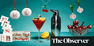 A chic air-fryer, mammoth panettone and seafood scarves – essential Christmas gifts for food lovers