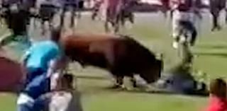 Hide and shriek! Agonising moment bull gores and tramples festival goer who tried to tease it with a game of hide-and-seek