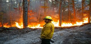 Wildfire Reaches 133 Acres In Gloucester County