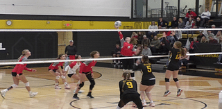 Prep Volleyball: Duluth East wins, Duluth Marshall and Esko fall in regular season finales