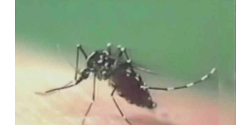 How to stay safe after West Nile case in Kent County