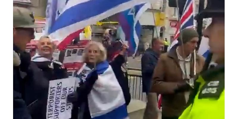 Shocking moment man goosesteps and performs Nazi salute in front of pro-Israel demonstration - before police let him walk away