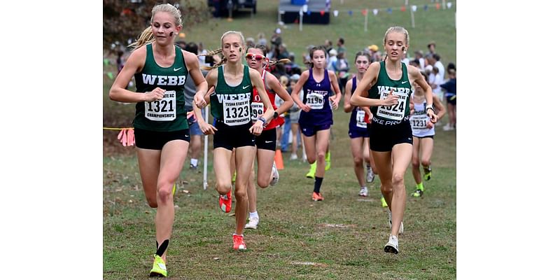 Liberty Creek's Jaden Hillis, Knoxville Webb's Calysta Garmer win TSSAA state cross country titles