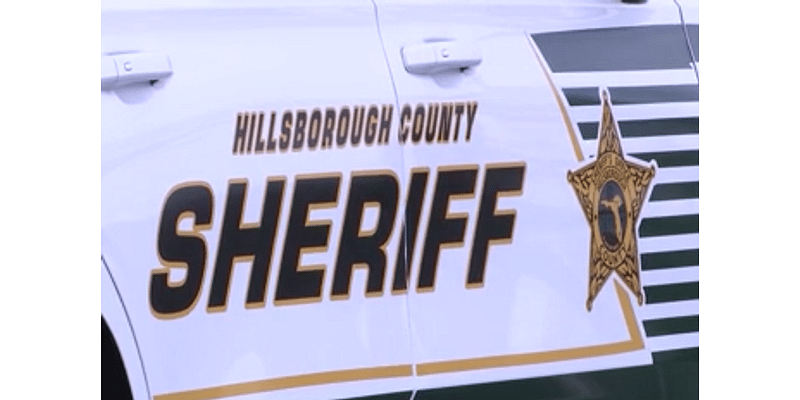 Hillsborough County high schooler found with gun in backpack: deputies