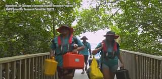 Students dive into dolphin conservation with Brookfield Zoo Chicago program