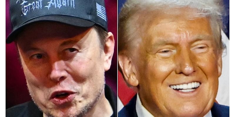 Elon Musk: Podcasts Made Trump Seem Like A 'Normal Person'