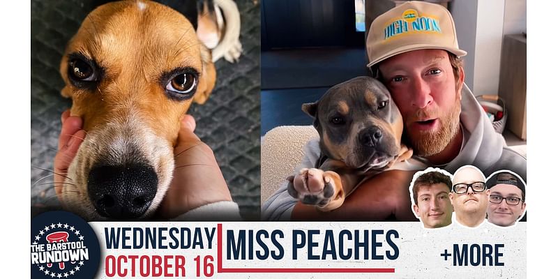 Dave Portnoy Adopts a Brother for Miss Peaches | Barstool Rundown | October 16th, 2024