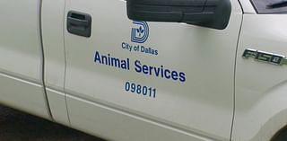 Dallas Animal Services issues warning over scam that targets people who have lost their pets