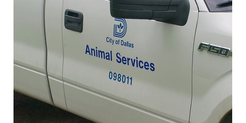 Dallas Animal Services issues warning over scam that targets people who have lost their pets