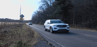 Nature reserve addressing rise in vehicle collisions with wildlife