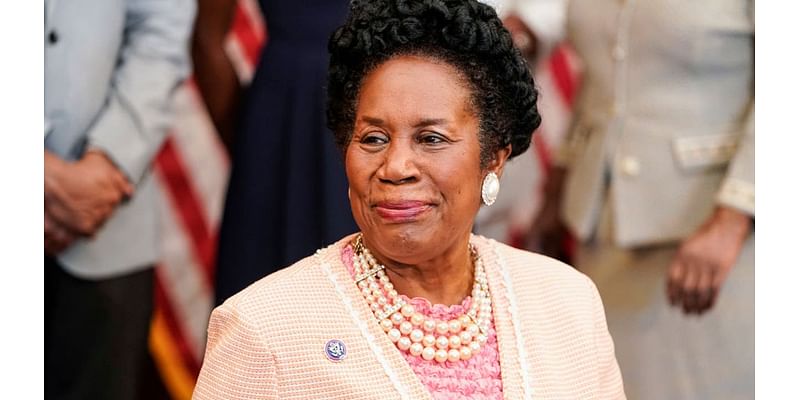 2024 Election: Guide to the confusing races to replace Sheila Jackson Lee