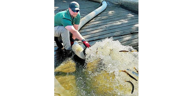 Ohio’s renowned muskie population gets transfusion: NE Ohio fishing report