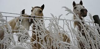 Colorado Springs weather: Cooler temps Thursday, warming up heading into the weekend