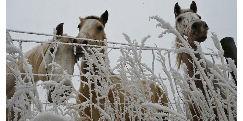 Colorado Springs weather: Cooler temps Thursday, warming up heading into the weekend