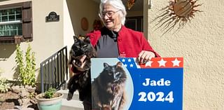 Vote for me, I'm a cat: Billings retiree unites a country divided by politics