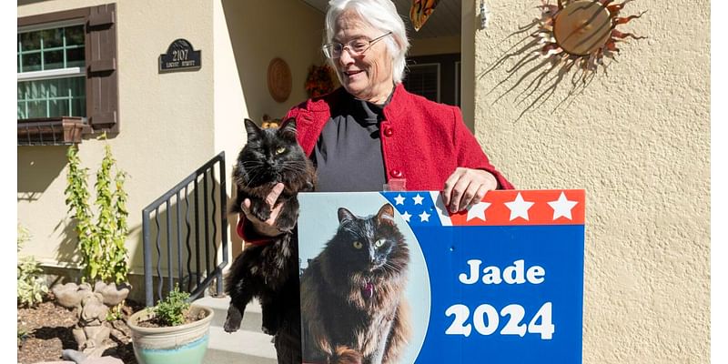 Vote for me, I'm a cat: Billings retiree unites a country divided by politics