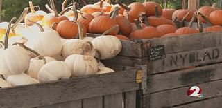 One local farm ready to celebrate the fall season despite weather setbacks