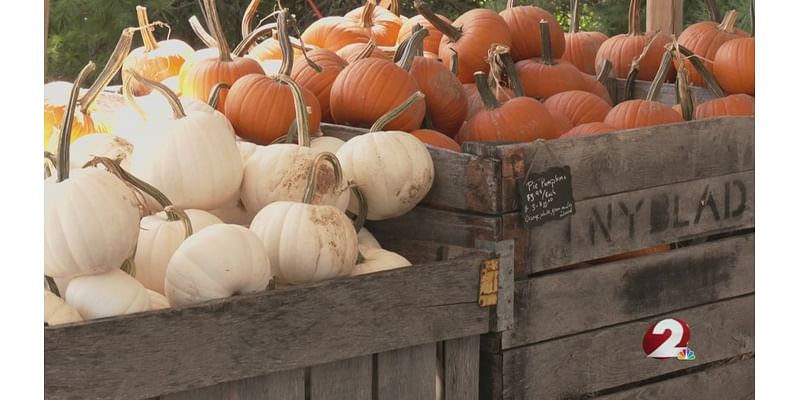 One local farm ready to celebrate the fall season despite weather setbacks