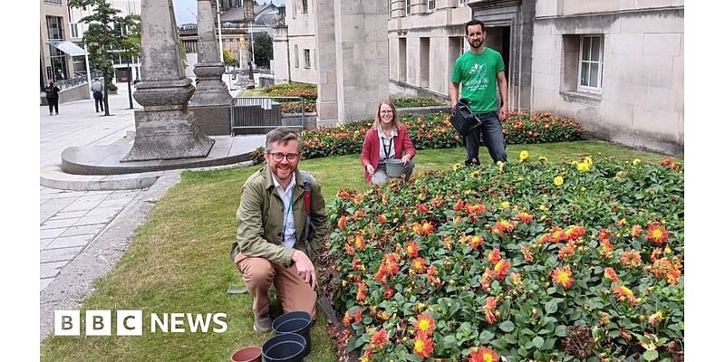 Leeds Civic Hall flowerbeds could be used to grow food