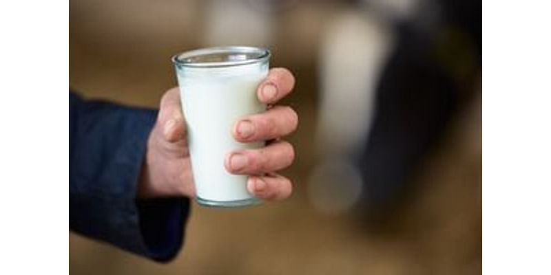 Jackson Farms to stop producing milk in ‘very near future’