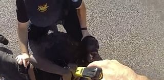 Phoenix police allegedly beat, repeatedly tased deaf Black man who has cerebral palsy