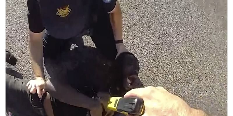 Phoenix police allegedly beat, repeatedly tased deaf Black man who has cerebral palsy