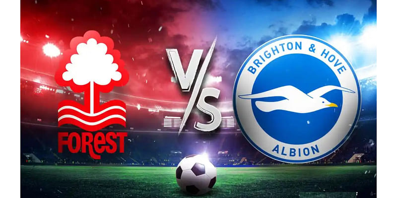 Brighton vs Nottingham Forest Live Streaming: How to Watch the Premier League Match Online in the US, UK and India