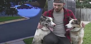 Dog dumped on Denver street, rescued by owner of surveillance video