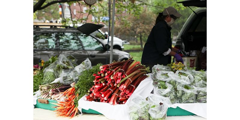 North Union Farmers Market moving its Crocker Park market indoors this weekend