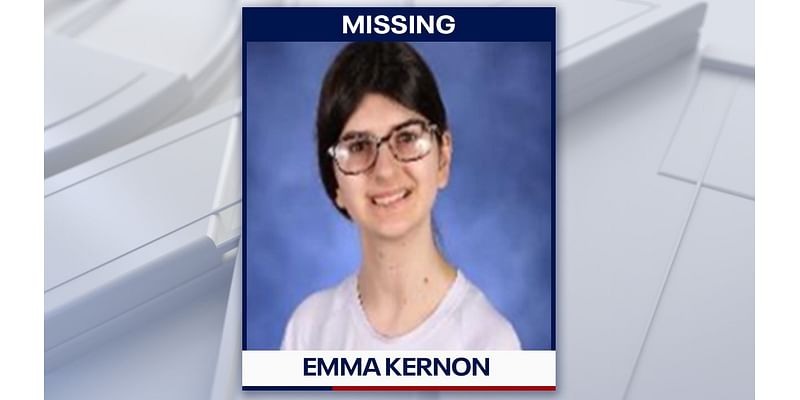 Missing Land O’Lakes teen sparks statewide alert