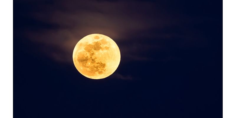 November's full ‘Beaver Moon' is your last chance to see a supermoon in 2024