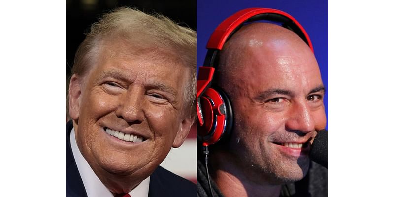 Joe Rogan endorsed Donald Trump, saying Elon Musk made a 'compelling case' for the former president