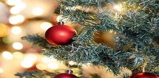 Christmas, Hanukkah Events In Falmouth: Parades, Tree Lightings, More