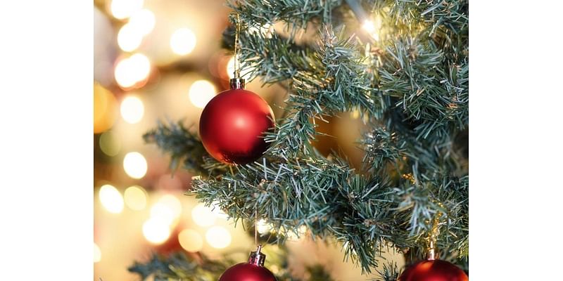 Christmas, Hanukkah Events In Falmouth: Parades, Tree Lightings, More