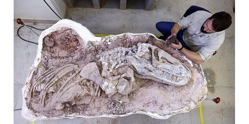 Scientists find 'missing link' animal that sparked rise of dinosaurs as they discover oldest-ever fossil