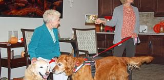 Therapy dogs provide companionship for Riverwood residents