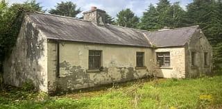 Long-vacant Wicklow cottage on 1.5 acres near River Slaney available for €175,000