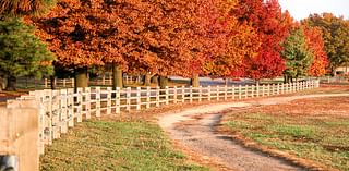 peeping season ends, go to Kansas for fall colors