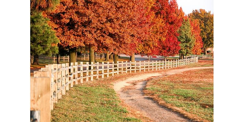 peeping season ends, go to Kansas for fall colors