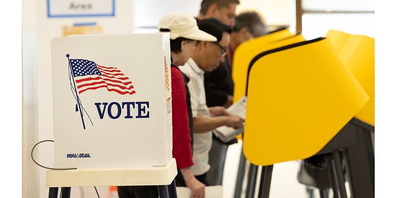 Roughly 82 million voted early in the 2024 election – here are some takeaways