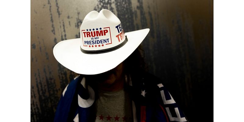 Trump support in Ann Arbor went up 17% in 2024 election, results show